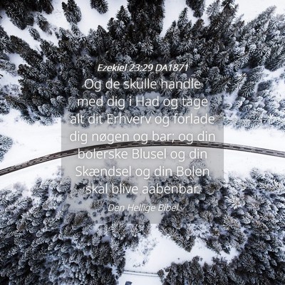 Picture 04 - Ezekiel 23:29 DA1871 - Og de skulle handle med dig i Had og tage alt dit - Bible Verse Picture