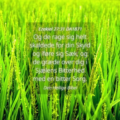 Picture 04 - Ezekiel 27:31 DA1871 - Og de rage sig helt skaldede for din Skyld og - Bible Verse Picture