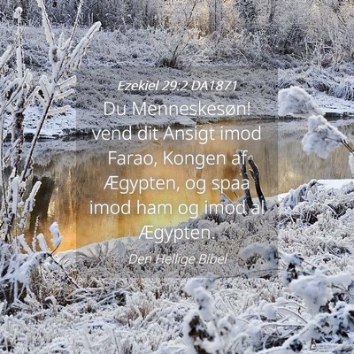 Picture 04 - Ezekiel 29:2 DA1871 - Du Menneskesøn! vend dit Ansigt imod Farao, - Bible Verse Picture