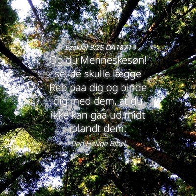 Picture 04 - Ezekiel 3:25 DA1871 - Og du Menneskesøn! se, de skulle lægge Reb paa - Bible Verse Picture