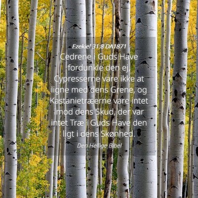 Picture 04 - Ezekiel 31:8 DA1871 - Cedrene i Guds Have fordunkle den ej, Cypresserne - Bible Verse Picture