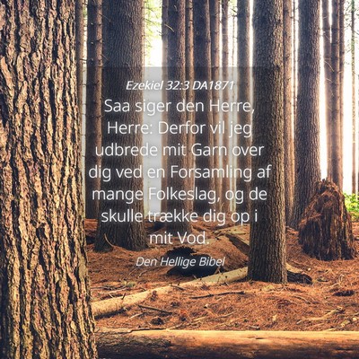 Picture 04 - Ezekiel 32:3 DA1871 - Saa siger den Herre, Herre: Derfor vil jeg - Bible Verse Picture