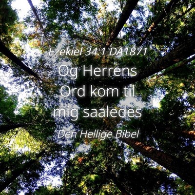 Picture 04 - Ezekiel 34:1 DA1871 - Og Herrens Ord kom til mig - Bible Verse Picture