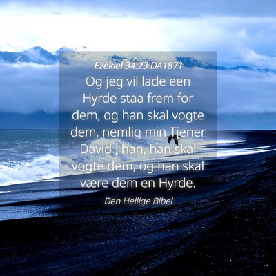Picture 04 - Ezekiel 34:23 DA1871 - Og jeg vil lade een Hyrde staa frem for dem, og - Bible Verse Picture