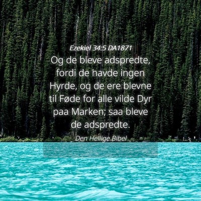 Picture 04 - Ezekiel 34:5 DA1871 - Og de bleve adspredte, fordi de havde ingen - Bible Verse Picture