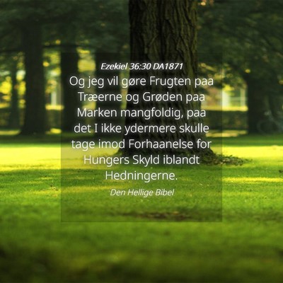 Picture 04 - Ezekiel 36:30 DA1871 - Og jeg vil gøre Frugten paa Træerne og Grøden - Bible Verse Picture