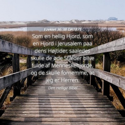 Picture 04 - Ezekiel 36:38 DA1871 - Som en hellig Hjord, som en Hjord i Jerusalem paa - Bible Verse Picture