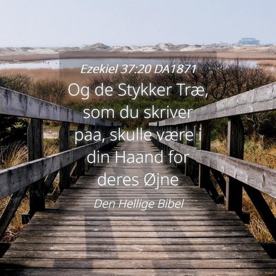 Picture 04 - Ezekiel 37:20 DA1871 - Og de Stykker Træ, som du skriver paa, skulle - Bible Verse Picture