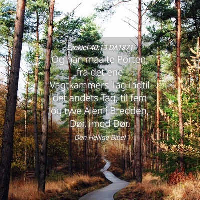 Picture 04 - Ezekiel 40:13 DA1871 - Og han maalte Porten, fra det ene Vagtkammers Tag - Bible Verse Picture
