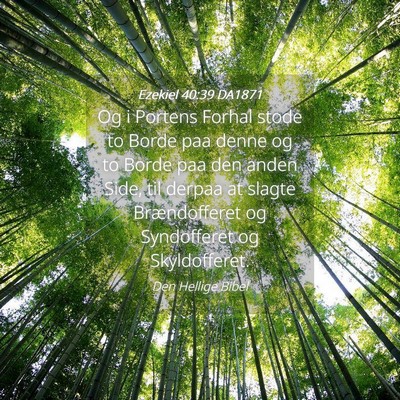 Picture 04 - Ezekiel 40:39 DA1871 - Og i Portens Forhal stode to Borde paa denne og - Bible Verse Picture
