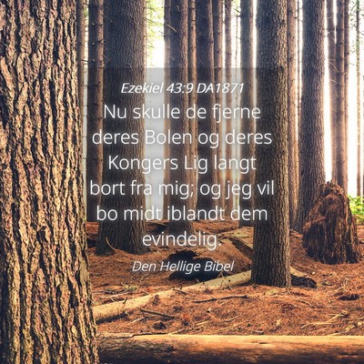 Picture 04 - Ezekiel 43:9 DA1871 - Nu skulle de fjerne deres Bolen og deres Kongers - Bible Verse Picture