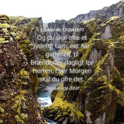 Picture 04 - Ezekiel 46:13 DA1871 - Og du skal ofre et lydefrit Lam, eet Aar gammelt, - Bible Verse Picture