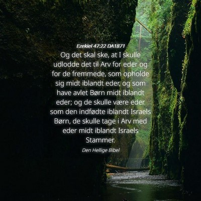 Picture 04 - Ezekiel 47:22 DA1871 - Og det skal ske, at I skulle udlodde det til Arv - Bible Verse Picture