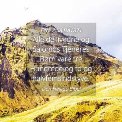 Picture 04 - Ezra 2:58 DA1871 - Alle de livegne og Salomos Tjeneres Børn vare - Bible Verse Picture