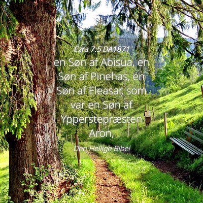 Picture 04 - Ezra 7:5 DA1871 - en Søn af Abisua, en Søn af Pinehas, en Søn af - Bible Verse Picture
