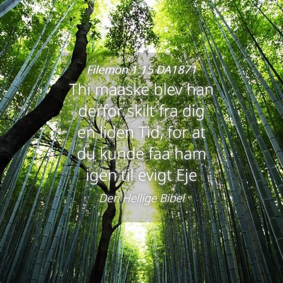Picture 04 - Filemon 1:15 DA1871 - Thi maaske blev han derfor skilt fra dig en liden - Bible Verse Picture