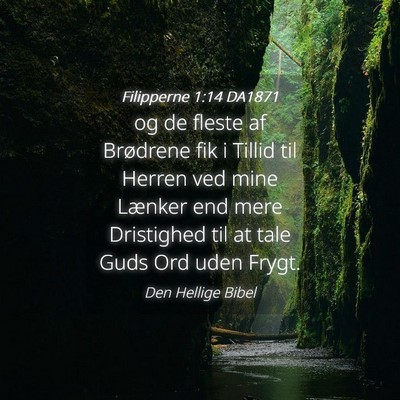 Picture 04 - Filipperne 1:14 DA1871 - og de fleste af Brødrene fik i Tillid til Herren - Bible Verse Picture