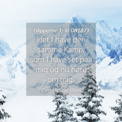Picture 04 - Filipperne 1:30 DA1871 - idet I have den samme Kamp, som I have set paa - Bible Verse Picture