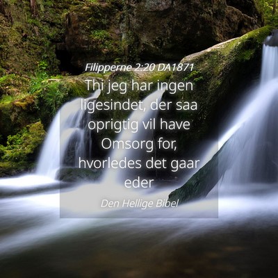 Picture 04 - Filipperne 2:20 DA1871 - Thi jeg har ingen ligesindet, der saa oprigtig - Bible Verse Picture