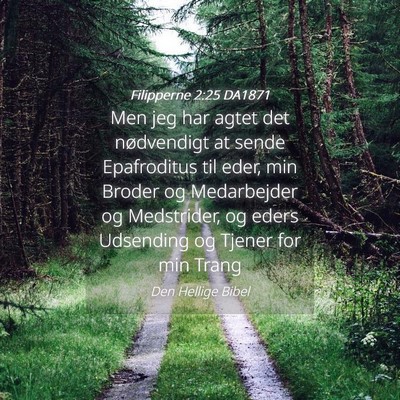 Picture 04 - Filipperne 2:25 DA1871 - Men jeg har agtet det nødvendigt at sende - Bible Verse Picture