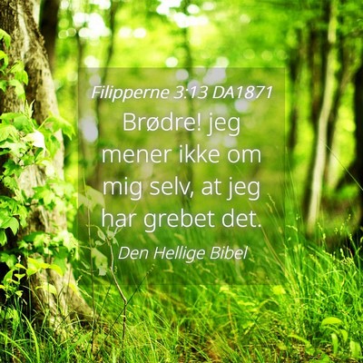 Picture 04 - Filipperne 3:13 DA1871 - Brødre! jeg mener ikke om mig selv, at jeg har - Bible Verse Picture