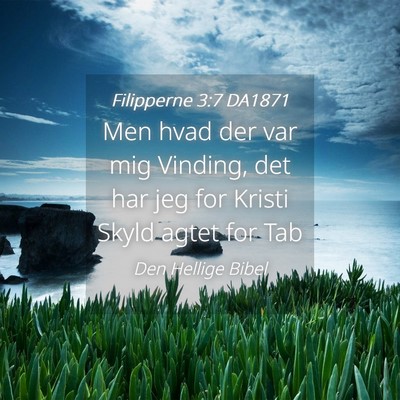 Picture 04 - Filipperne 3:7 DA1871 - Men hvad der var mig Vinding, det har jeg for - Bible Verse Picture