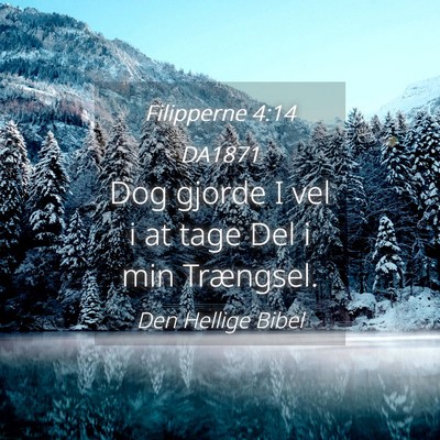 Picture 04 - Filipperne 4:14 DA1871 - Dog gjorde I vel i at tage Del i min - Bible Verse Picture
