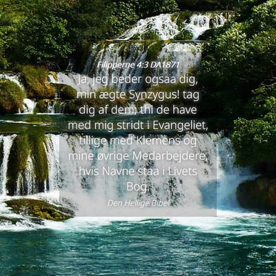 Picture 04 - Filipperne 4:3 DA1871 - Ja, jeg beder ogsaa dig, min ægte Synzygus! tag - Bible Verse Picture
