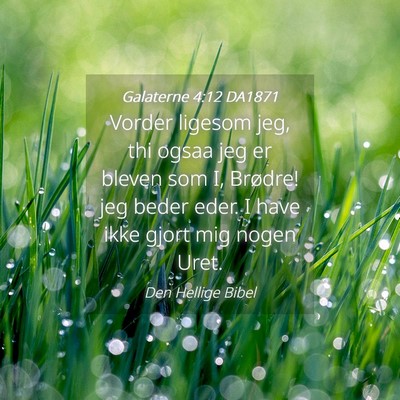Picture 04 - Galaterne 4:12 DA1871 - Vorder ligesom jeg, thi ogsaa jeg er bleven som - Bible Verse Picture