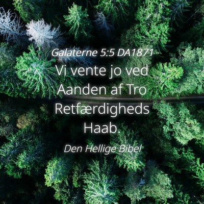 Picture 04 - Galaterne 5:5 DA1871 - Vi vente jo ved Aanden af Tro Retfærdigheds - Bible Verse Picture