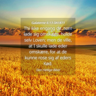 Picture 04 - Galaterne 6:13 DA1871 - Thi ikke engang de, som lade sig omskære, holde - Bible Verse Picture