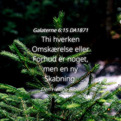 Picture 04 - Galaterne 6:15 DA1871 - Thi hverken Omskærelse eller Forhud er noget, - Bible Verse Picture