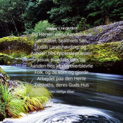 Picture 04 - Haggaj 1:14 DA1871 - Og Herren vakte Aanden hos Serubabel, Sealthiels - Bible Verse Picture