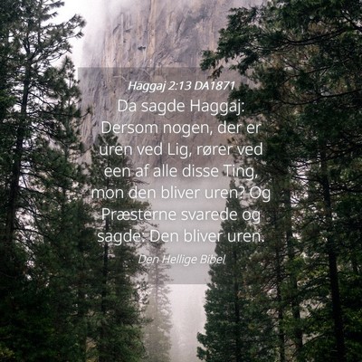 Picture 04 - Haggaj 2:13 DA1871 - Da sagde Haggaj: Dersom nogen, der er uren ved - Bible Verse Picture