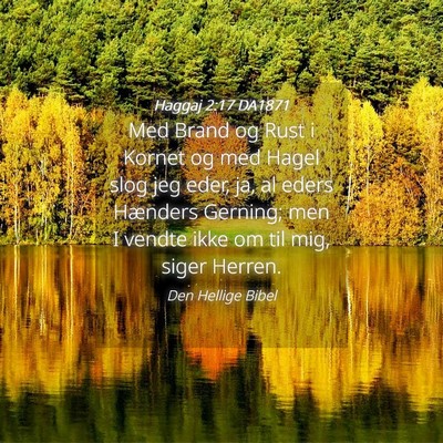 Picture 04 - Haggaj 2:17 DA1871 - Med Brand og Rust i Kornet og med Hagel slog jeg - Bible Verse Picture