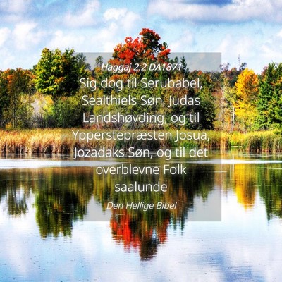Picture 04 - Haggaj 2:2 DA1871 - Sig dog til Serubabel, Sealthiels Søn, Judas - Bible Verse Picture