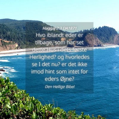 Picture 04 - Haggaj 2:3 DA1871 - Hvo iblandt eder er tilbage, som har set dette - Bible Verse Picture