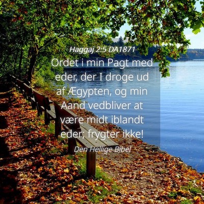 Picture 04 - Haggaj 2:5 DA1871 - Ordet i min Pagt med eder, der I droge ud af - Bible Verse Picture