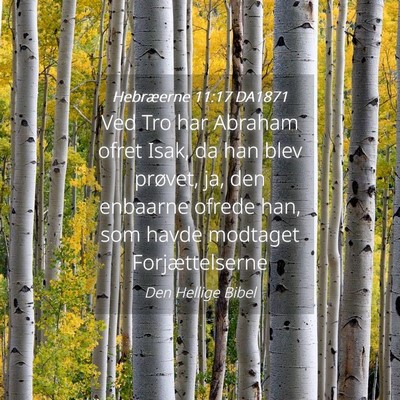 Picture 04 - Hebræerne 11:17 DA1871 - Ved Tro har Abraham ofret Isak, da han blev - Bible Verse Picture