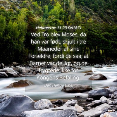 Picture 04 - Hebræerne 11:23 DA1871 - Ved Tro blev Moses, da han var født, skjult i - Bible Verse Picture