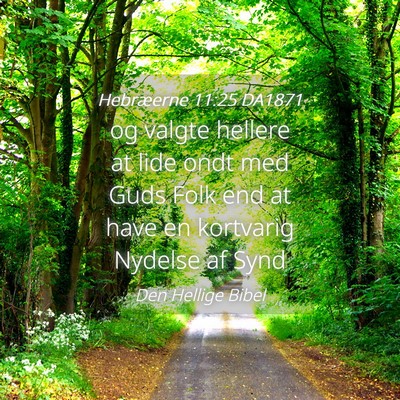 Picture 04 - Hebræerne 11:25 DA1871 - og valgte hellere at lide ondt med Guds Folk end - Bible Verse Picture