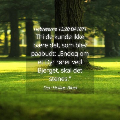 Picture 04 - Hebræerne 12:20 DA1871 - Thi de kunde ikke bære det, som blev paabudt: - Bible Verse Picture