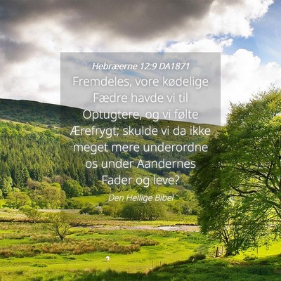 Picture 04 - Hebræerne 12:9 DA1871 - Fremdeles, vore kødelige Fædre havde vi til - Bible Verse Picture