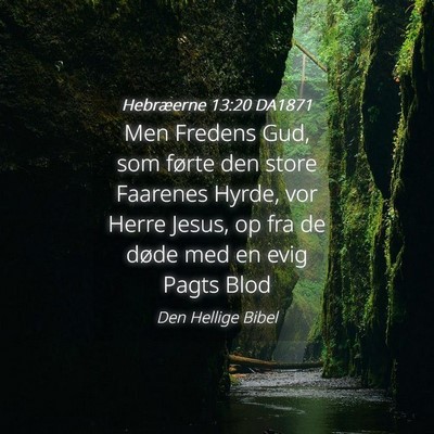 Picture 04 - Hebræerne 13:20 DA1871 - Men Fredens Gud, som førte den store Faarenes - Bible Verse Picture