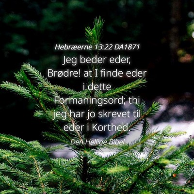 Picture 04 - Hebræerne 13:22 DA1871 - Jeg beder eder, Brødre! at I finde eder i dette - Bible Verse Picture