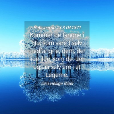 Picture 04 - Hebræerne 13:3 DA1871 - Kommer de fangne i Hu, som vare I selv medfangne; - Bible Verse Picture