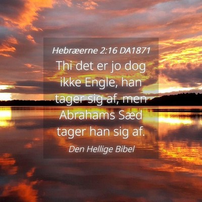 Picture 04 - Hebræerne 2:16 DA1871 - Thi det er jo dog ikke Engle, han tager sig af, - Bible Verse Picture
