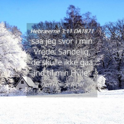 Picture 04 - Hebræerne 3:11 DA1871 - saa jeg svor i min Vrede: Sandelig, de skulle - Bible Verse Picture