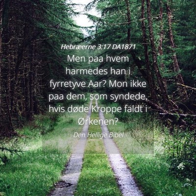 Picture 04 - Hebræerne 3:17 DA1871 - Men paa hvem harmedes han i fyrretyve Aar? Mon - Bible Verse Picture