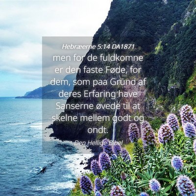 Picture 04 - Hebræerne 5:14 DA1871 - men for de fuldkomne er den faste Føde, for dem, - Bible Verse Picture